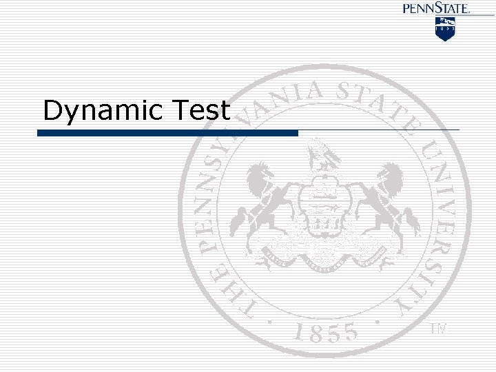 Dynamic Test 