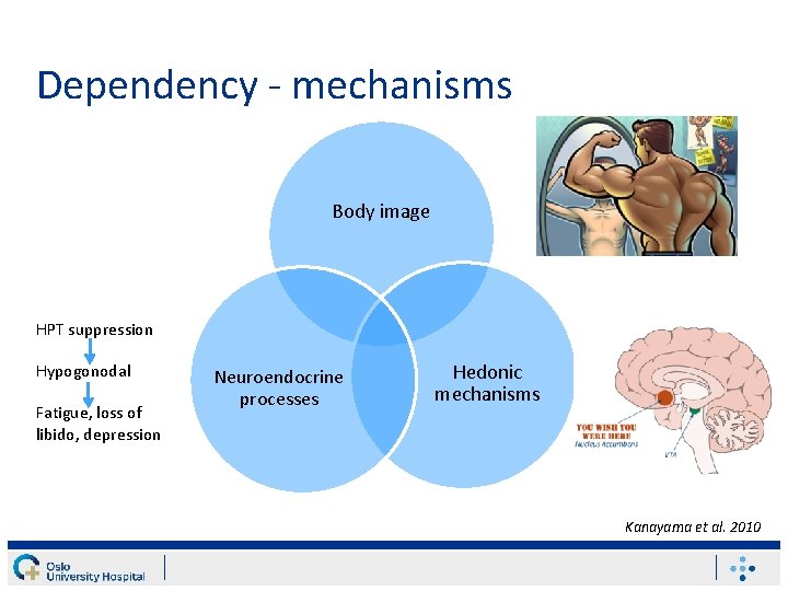 Dependency - mechanisms Body image HPT suppression Hypogonodal Fatigue, loss of libido, depression Neuroendocrine