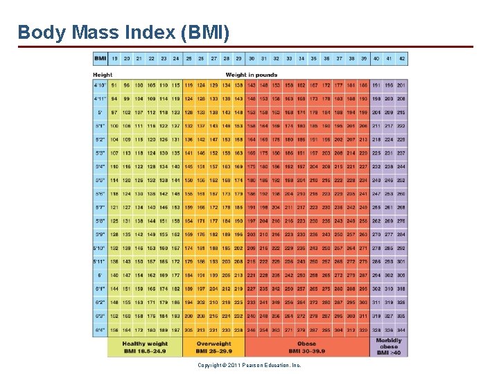 Body Mass Index (BMI) Copyright © 2011 Pearson Education, Inc. 