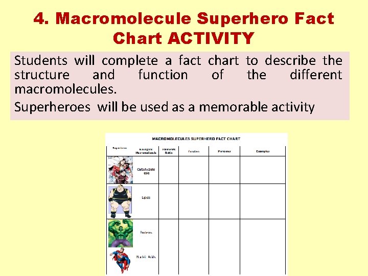 4. Macromolecule Superhero Fact Chart ACTIVITY Students will complete a fact chart to describe