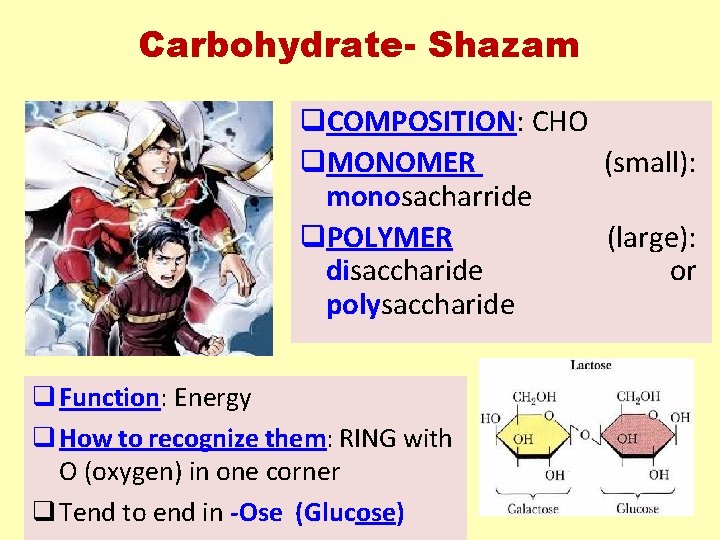 Carbohydrate- Shazam q. COMPOSITION: CHO q. MONOMER (small): monosacharride q. POLYMER (large): disaccharide or