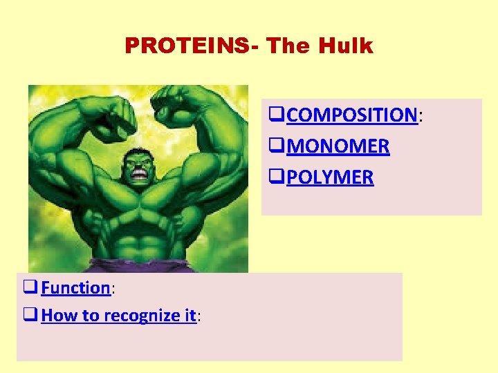 PROTEINS- The Hulk q. COMPOSITION: q. MONOMER q. POLYMER q Function: q How to