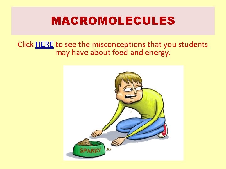 MACROMOLECULES Click HERE to see the misconceptions that you students may have about food