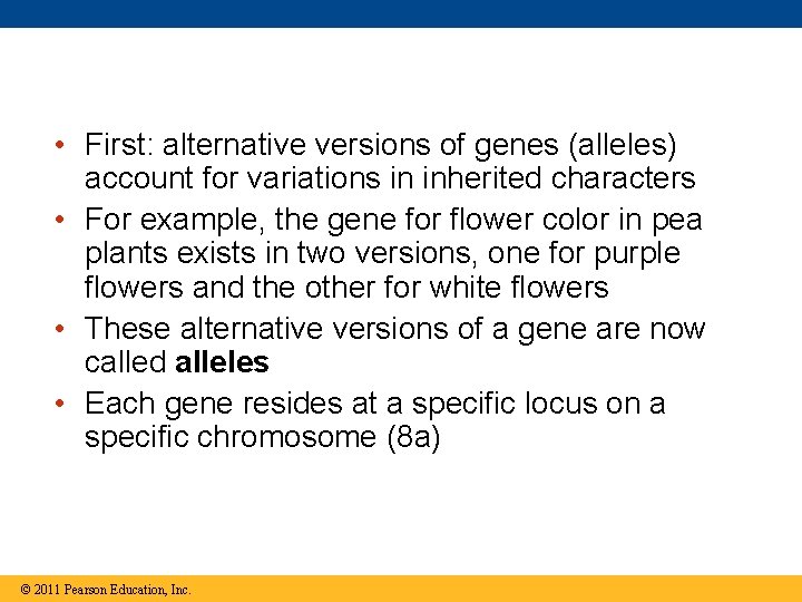  • First: alternative versions of genes (alleles) account for variations in inherited characters