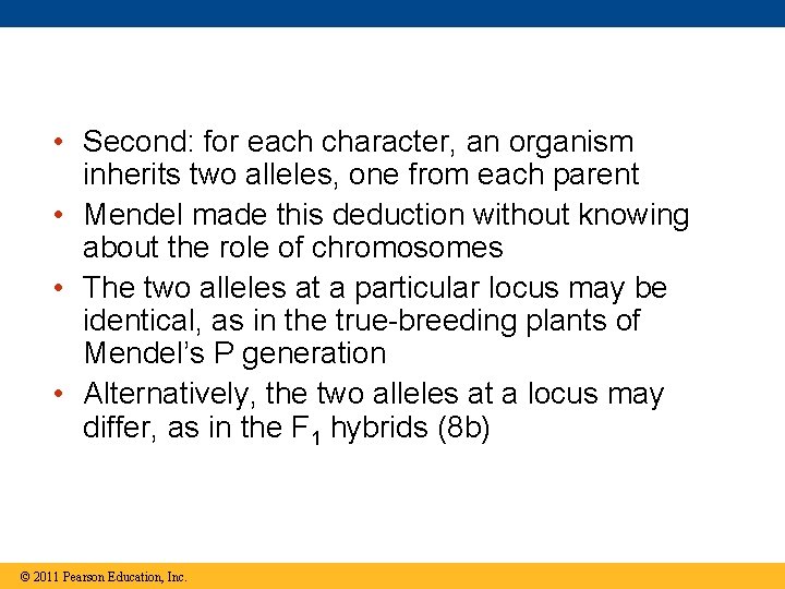  • Second: for each character, an organism inherits two alleles, one from each