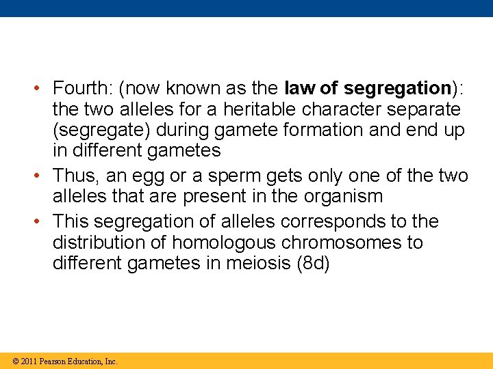  • Fourth: (now known as the law of segregation): the two alleles for