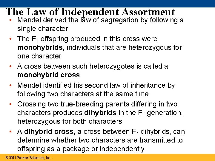 The Law of Independent Assortment • Mendel derived the law of segregation by following