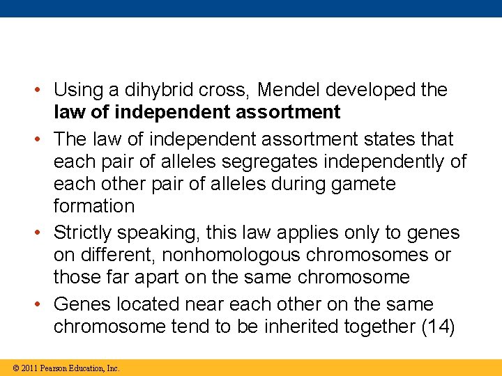  • Using a dihybrid cross, Mendel developed the law of independent assortment •