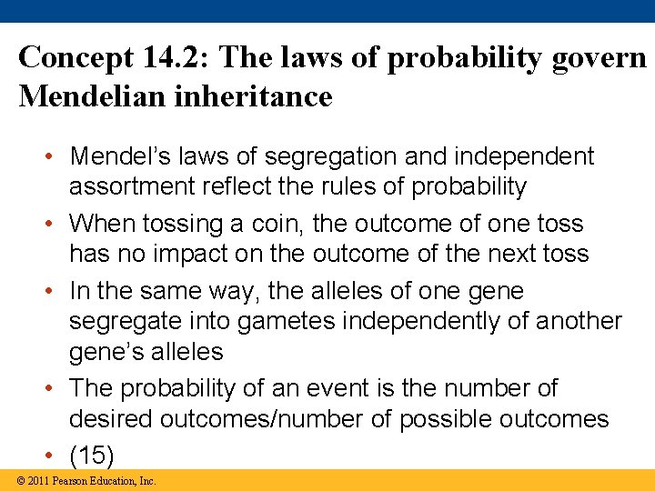 Concept 14. 2: The laws of probability govern Mendelian inheritance • Mendel’s laws of