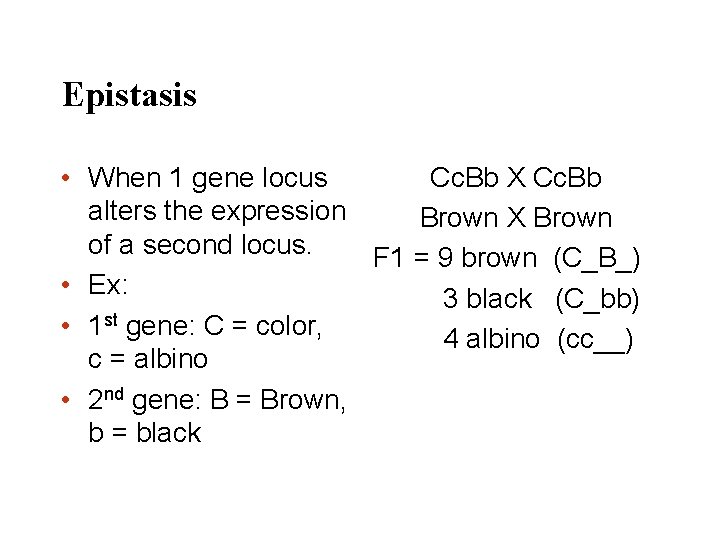 Epistasis • When 1 gene locus Cc. Bb X Cc. Bb alters the expression