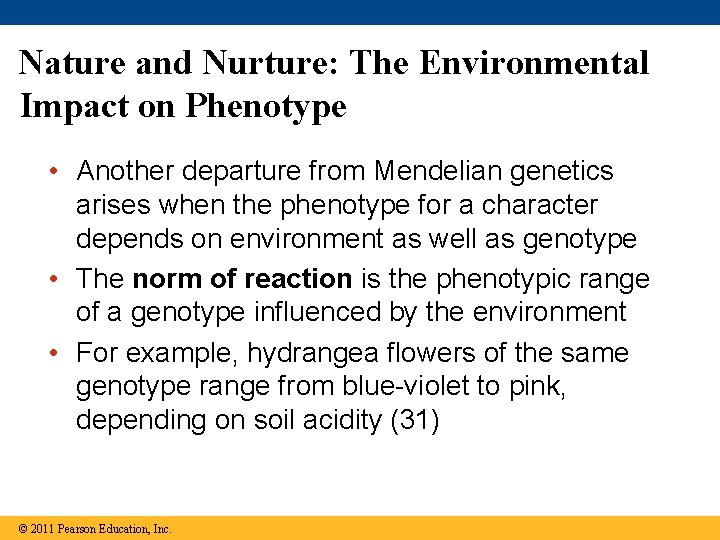 Nature and Nurture: The Environmental Impact on Phenotype • Another departure from Mendelian genetics
