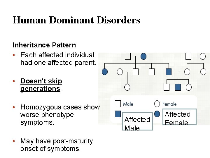 Human Dominant Disorders Inheritance Pattern • Each affected individual had one affected parent. •