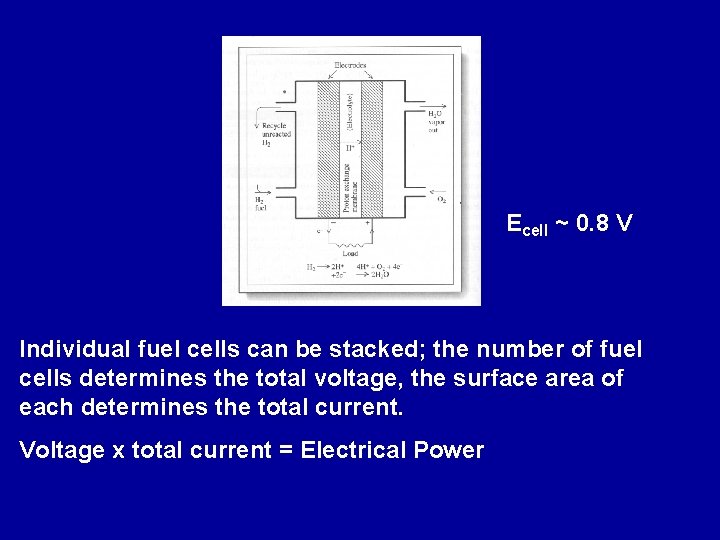 Ecell ~ 0. 8 V Individual fuel cells can be stacked; the number of