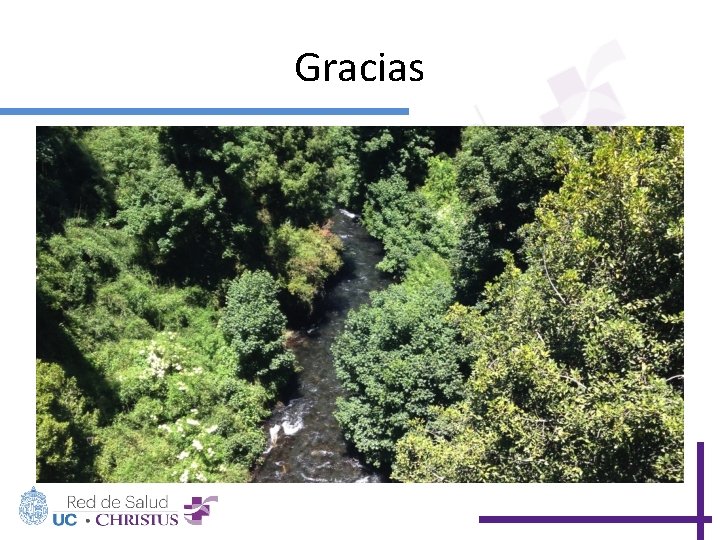 Gracias 