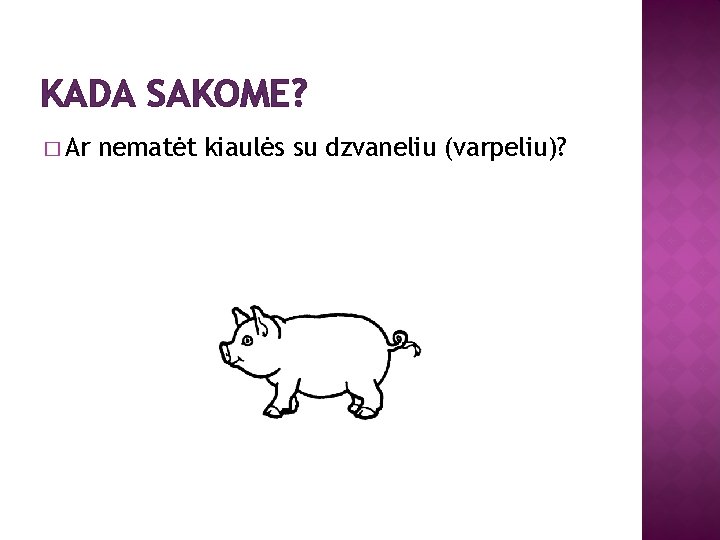 KADA SAKOME? � Ar nematėt kiaulės su dzvaneliu (varpeliu)? 