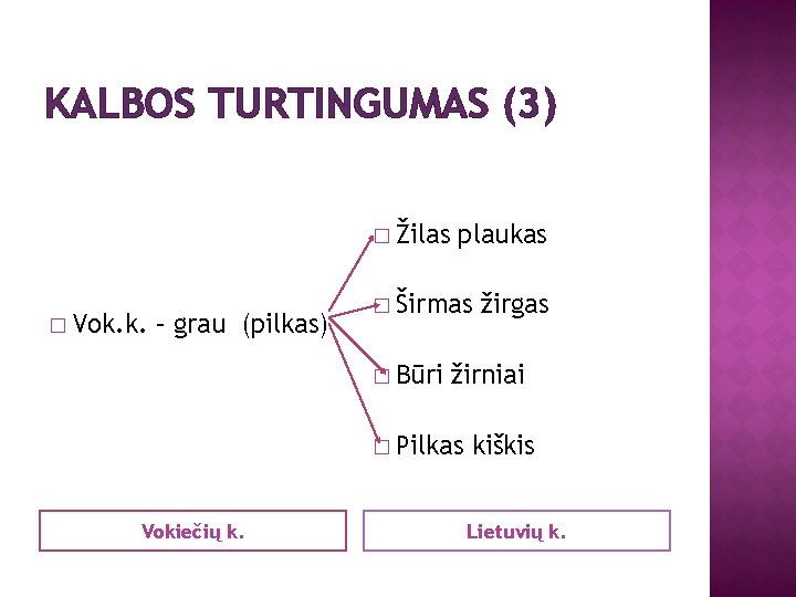 KALBOS TURTINGUMAS (3) � Žilas � Vok. k. – grau (pilkas) plaukas � Širmas