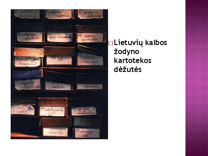 � Lietuvių kalbos žodyno kartotekos dėžutės 