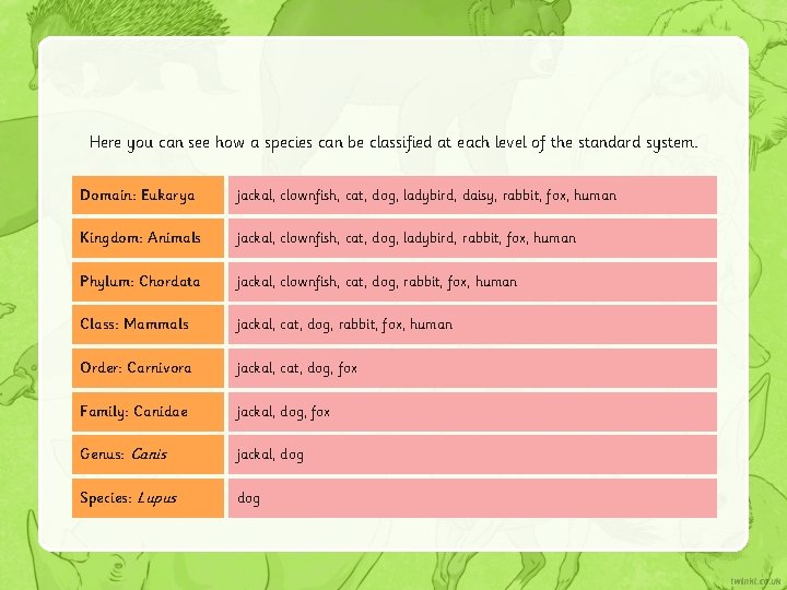 Here you can see how a species can be classified at each level of