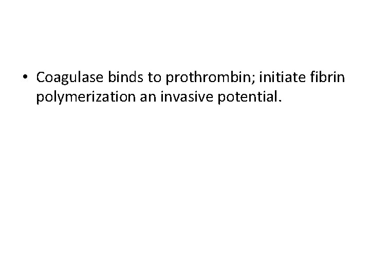  • Coagulase binds to prothrombin; initiate fibrin polymerization an invasive potential. 
