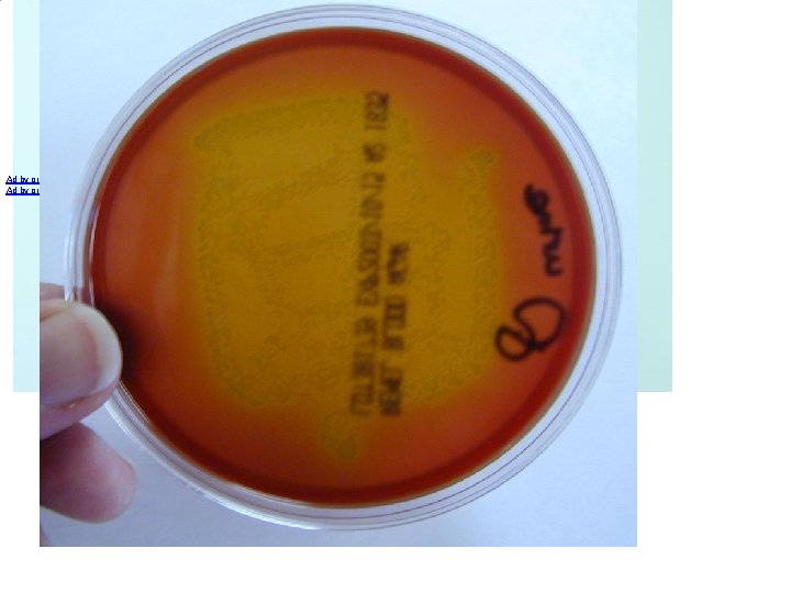 Ad by greatsaver | Close 