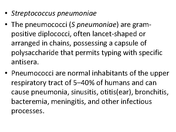  • Streptococcus pneumoniae • The pneumococci (S pneumoniae) are grampositive diplococci, often lancet-shaped