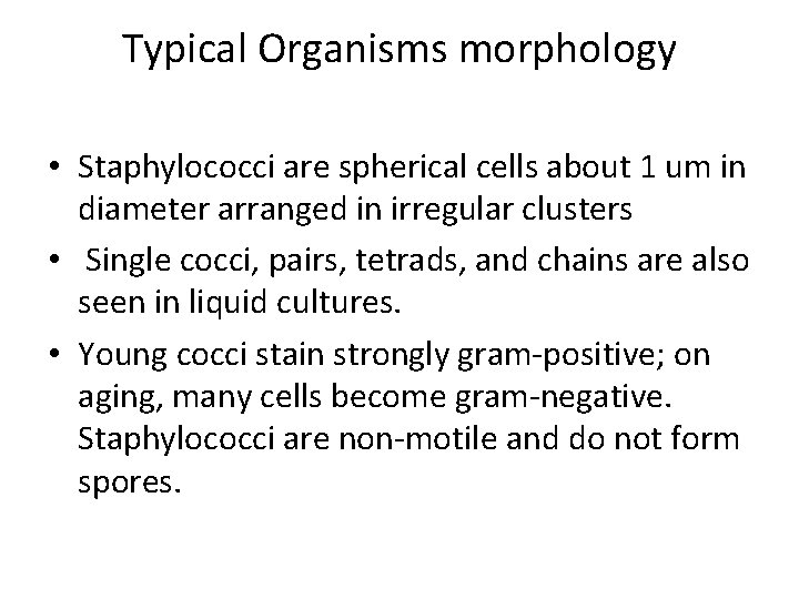Typical Organisms morphology • Staphylococci are spherical cells about 1 um in diameter arranged