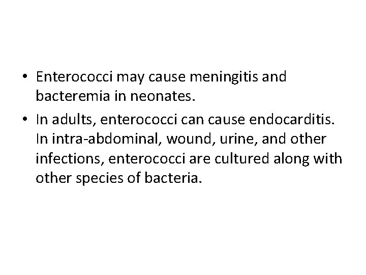  • Enterococci may cause meningitis and bacteremia in neonates. • In adults, enterococci