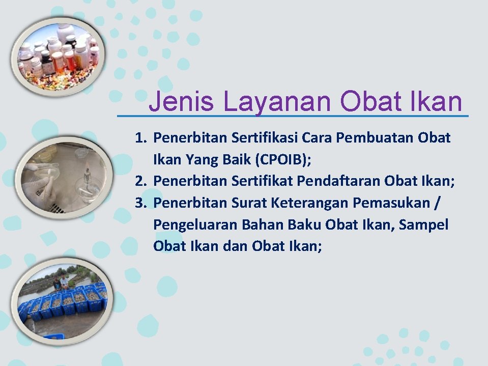 Jenis Layanan Obat Ikan 1. Penerbitan Sertifikasi Cara Pembuatan Obat Ikan Yang Baik (CPOIB);