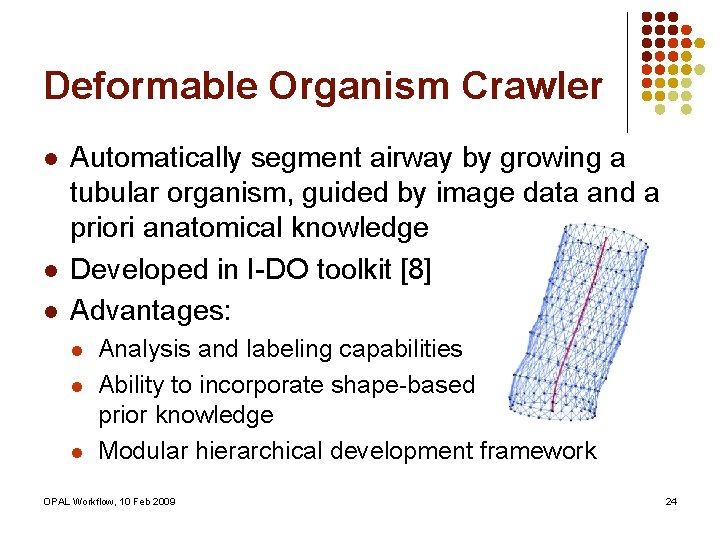 Deformable Organism Crawler l l l Automatically segment airway by growing a tubular organism,