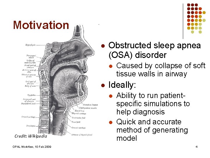 Motivation l Obstructed sleep apnea (OSA) disorder l l Ideally: l l Credit: Wikipedia