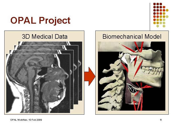 OPAL Project 3 D Medical Data OPAL Workflow, 10 Feb 2009 Biomechanical Model 6