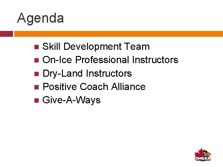 Agenda Skill Development Team On-Ice Professional Instructors Dry-Land Instructors Positive Coach Alliance Give-A-Ways 