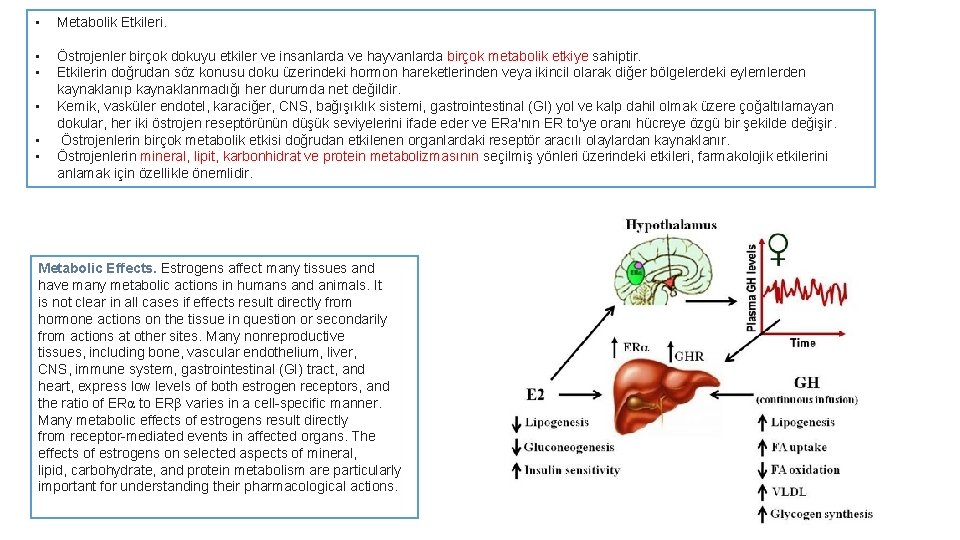  • Metabolik Etkileri. • • Östrojenler birçok dokuyu etkiler ve insanlarda ve hayvanlarda