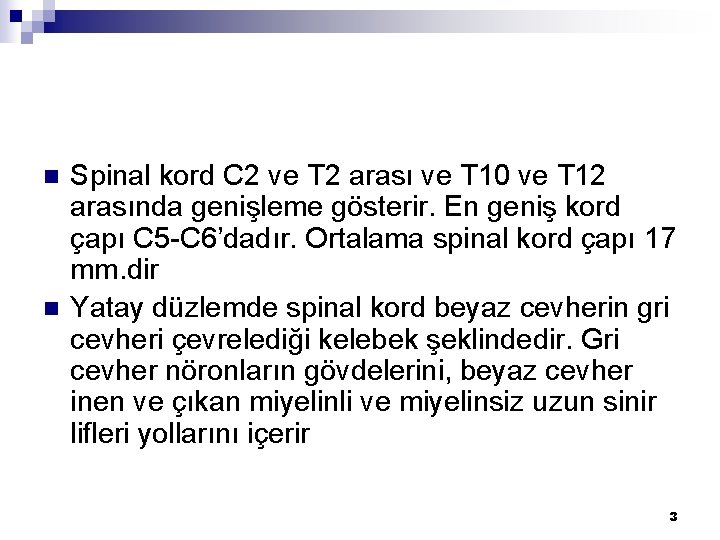 n n Spinal kord C 2 ve T 2 arası ve T 10 ve