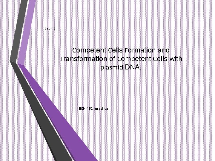 lab 2 competent cells formation and transformation of