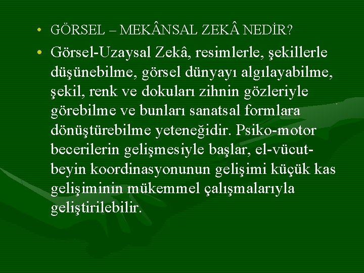  • GÖRSEL – MEK NSAL ZEK NEDİR? • Görsel-Uzaysal Zekâ, resimlerle, şekillerle düşünebilme,