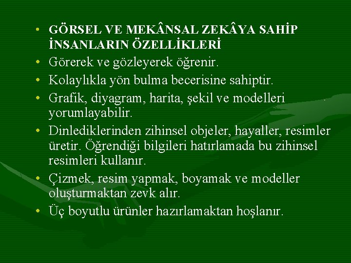  • GÖRSEL VE MEK NSAL ZEK YA SAHİP İNSANLARIN ÖZELLİKLERİ • Görerek ve