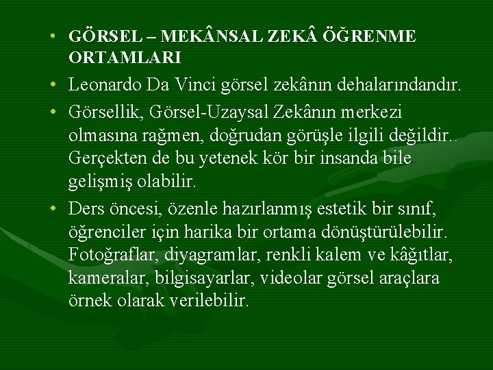  • GÖRSEL – MEK NSAL ZEK ÖĞRENME ORTAMLARI • • Leonardo Da Vinci