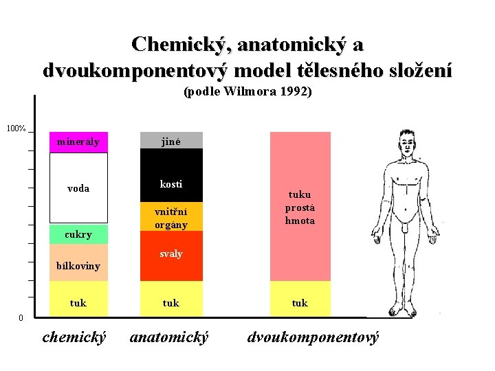 Chemický, anatomický a dvoukomponentový model tělesného složení (podle Wilmora 1992) 100% minerály voda cukry