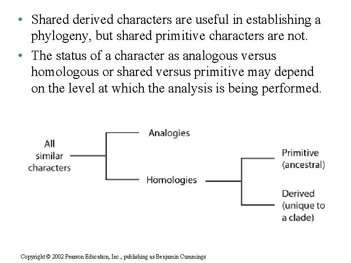  • Shared derived characters are useful in establishing a phylogeny, but shared primitive