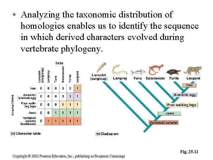  • Analyzing the taxonomic distribution of homologies enables us to identify the sequence