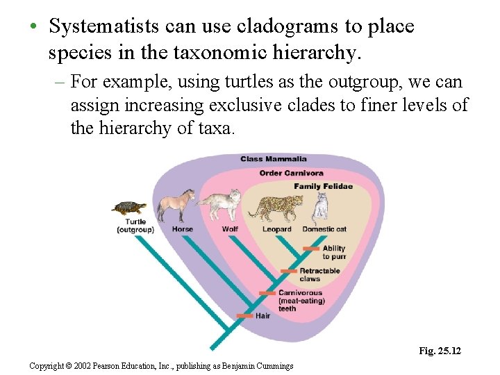 • Systematists can use cladograms to place species in the taxonomic hierarchy. – • Systematists can use cladograms to place species in the taxonomic hierarchy. –