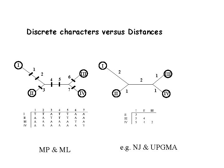 Discrete characters versus Distances I 1 I 2 4 II 3 5 6 7