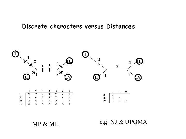 Discrete characters versus Distances I 1 I 2 4 II 3 5 6 7 Discrete characters versus Distances I 1 I 2 4 II 3 5 6 7