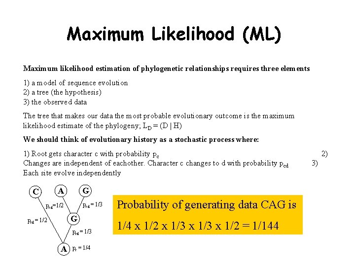 Maximum Likelihood (ML) Maximum likelihood estimation of phylogenetic relationships requires three elements 1) a Maximum Likelihood (ML) Maximum likelihood estimation of phylogenetic relationships requires three elements 1) a