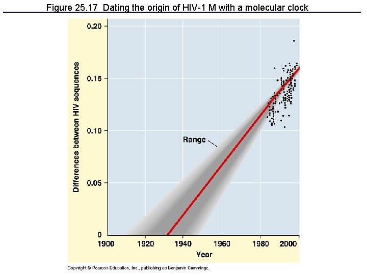 Figure 25. 17 Dating the origin of HIV-1 M with a molecular clock 