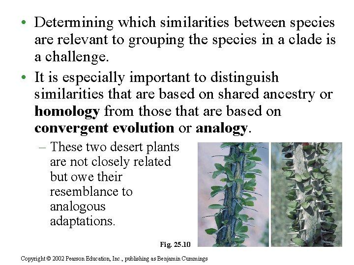  • Determining which similarities between species are relevant to grouping the species in