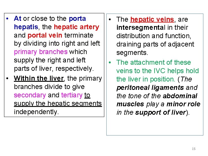  • At or close to the porta • The hepatic veins, are hepatis,