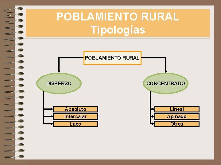 POBLAMIENTO RURAL Tipologías POBLAMIENTO RURAL DISPERSO Absoluto Intercalar Laxo CONCENTRADO Lineal Apiñado Otros 