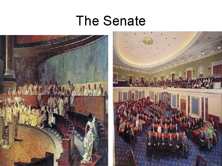 The Senate 